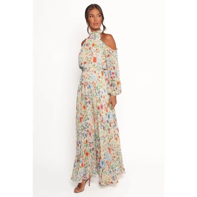 Petal And Pup Hilary Pleated Maxi Dress 1 Petal And Pup Hilary Pleated Maxi Dress