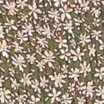 Petal And Pup Womens Claire Shirred Bodycon Off Shoulder Midi Dress 2 Petal And Pup Womens Claire Shirred Bodycon Off Shoulder Midi Dress - Image 2