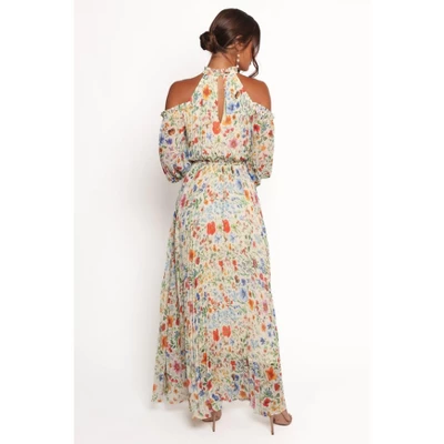 Petal And Pup Hilary Pleated Maxi Dress 2 Petal And Pup Hilary Pleated Maxi Dress - Image 2